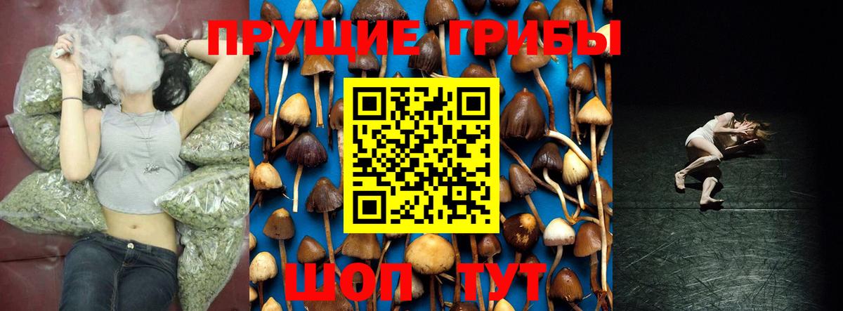 Электрогорск  Галлюциногенные грибы Magic Shrooms  Вход с VPN  Псилоцибиновые грибы MAGIC MUSHROOMS 